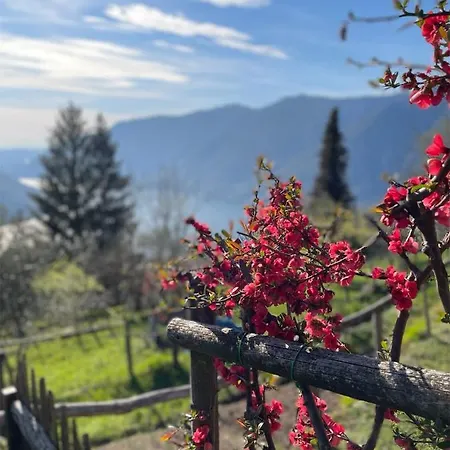 Apartamento Ca Al Borgo